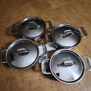 All Clad Stainless 0.5 Qt Cocotte Pot Pan Set of 4 Dutch Oven, Au Gratin W/Lids